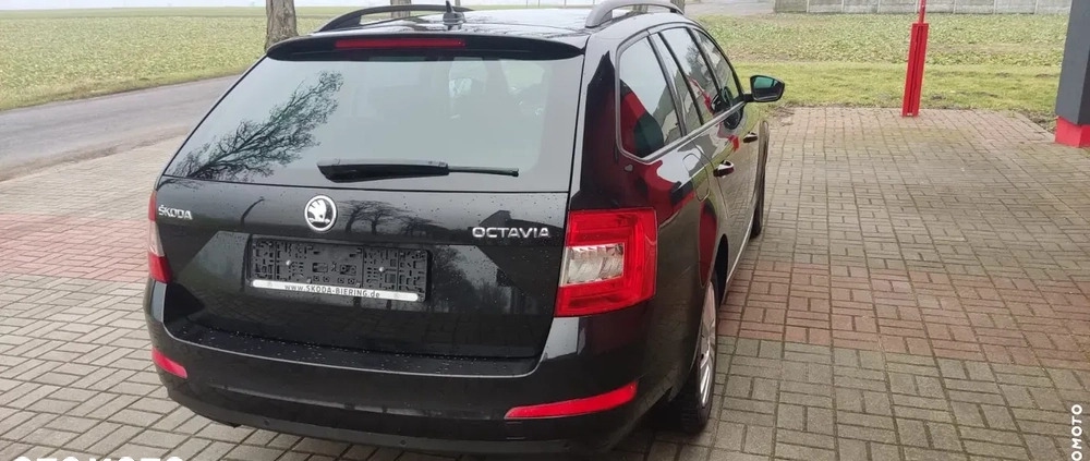 Skoda Octavia cena 37990 przebieg: 150000, rok produkcji 2016 z Kruszwica małe 277
